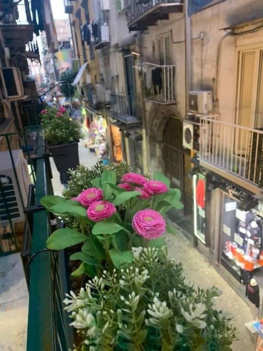 La Casa Di Patta A Spaccanapoli ภายนอก รูปภาพ