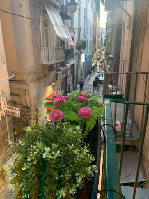 La Casa Di Patta A Spaccanapoli ภายนอก รูปภาพ